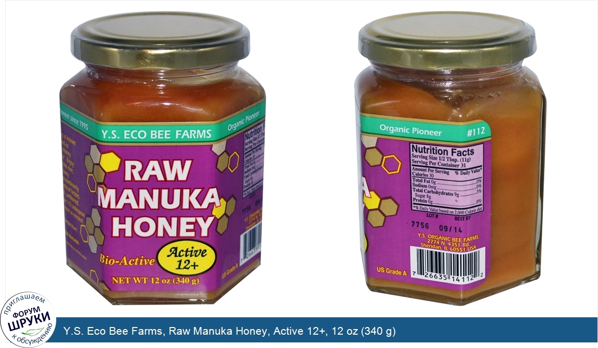 Y.S._Eco_Bee_Farms__Raw_Manuka_Honey__Active_12___12_oz__340_g_.jpg