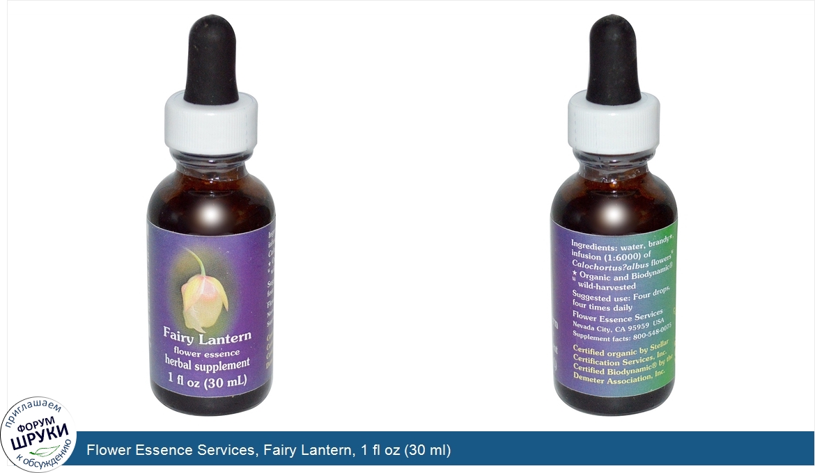 Flower_Essence_Services__Fairy_Lantern__1_fl_oz__30_ml_.jpg