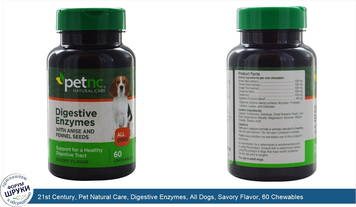 21st_Century__Pet_Natural_Care__Digestive_Enzymes__All_Dogs__Savory_Flavor__60_Chewables.jpg