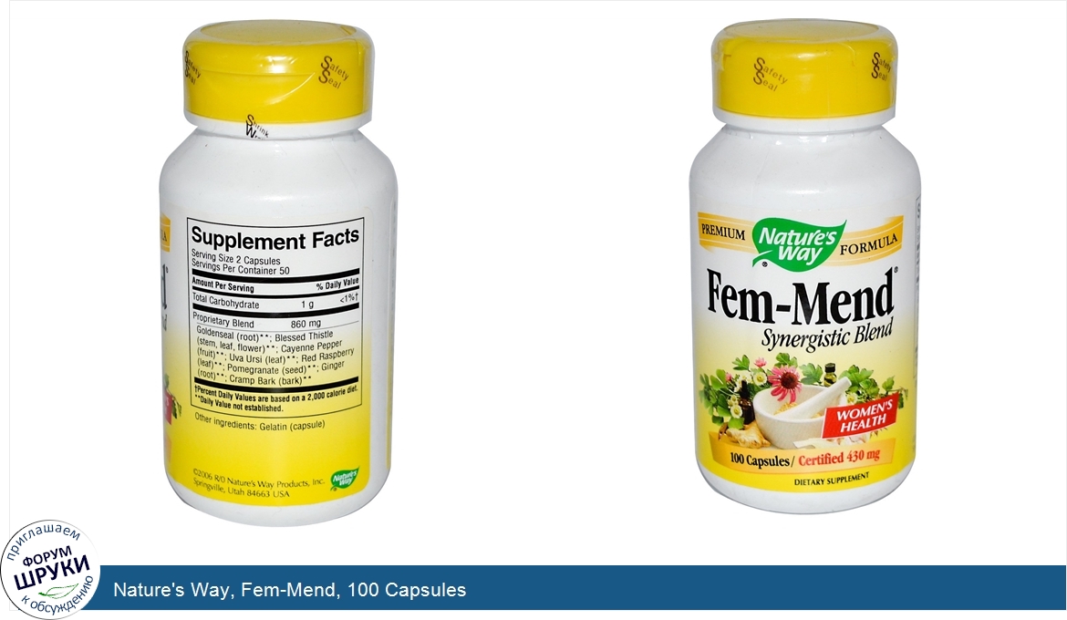 Nature_s_Way__Fem_Mend__100_Capsules.jpg