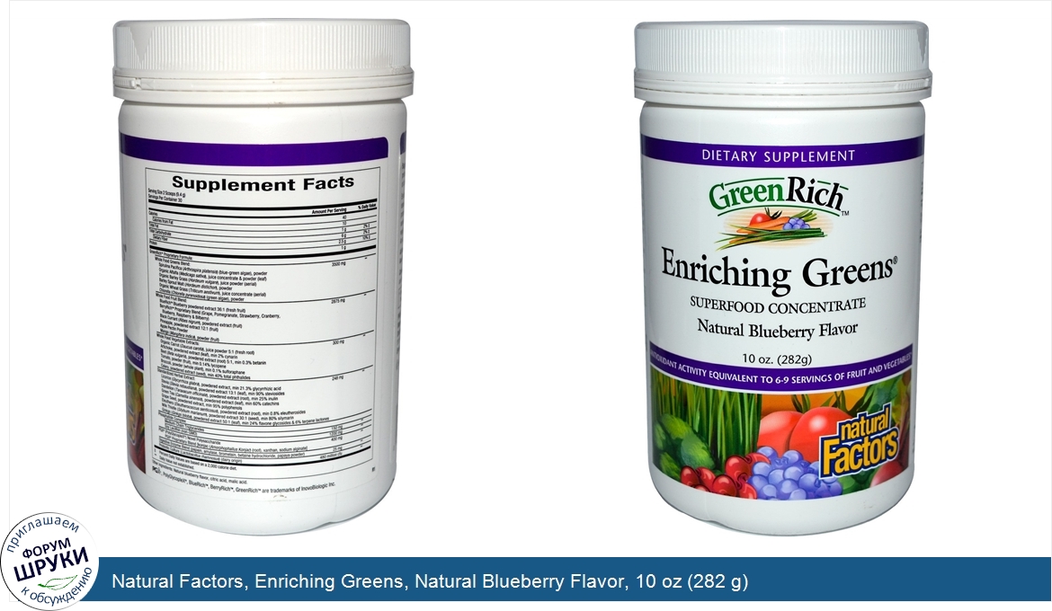 Natural_Factors__Enriching_Greens__Natural_Blueberry_Flavor__10_oz__282_g_.jpg