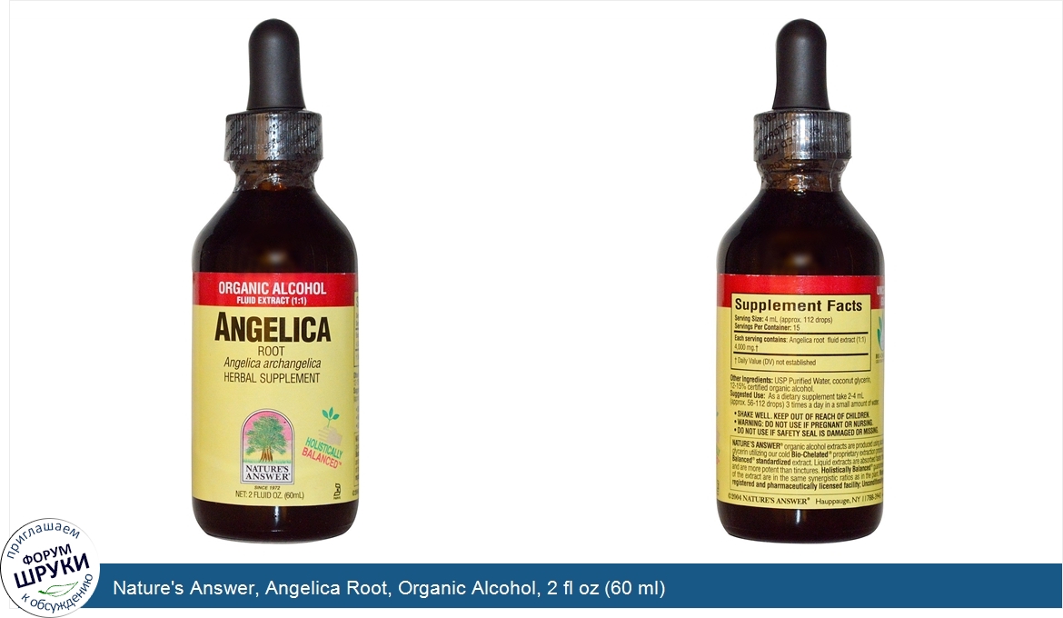 Nature_s_Answer__Angelica_Root__Organic_Alcohol__2_fl_oz__60_ml_.jpg