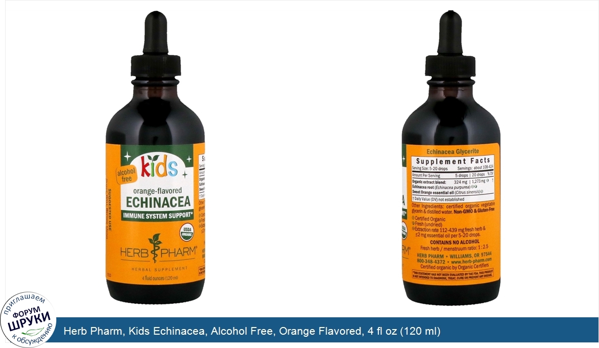 Herb_Pharm__Kids_Echinacea__Alcohol_Free__Orange_Flavored__4_fl_oz__120_ml_.jpg