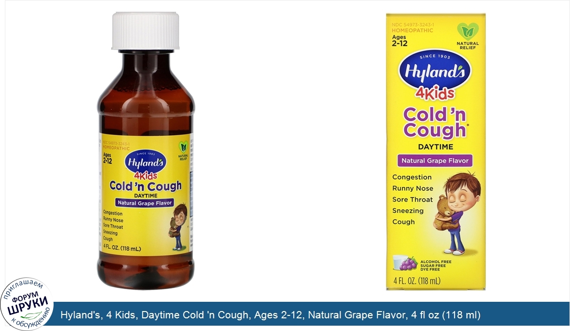 Hyland_s__4_Kids__Daytime_Cold__n_Cough__Ages_2_12__Natural_Grape_Flavor__4_fl_oz__118_ml_.jpg