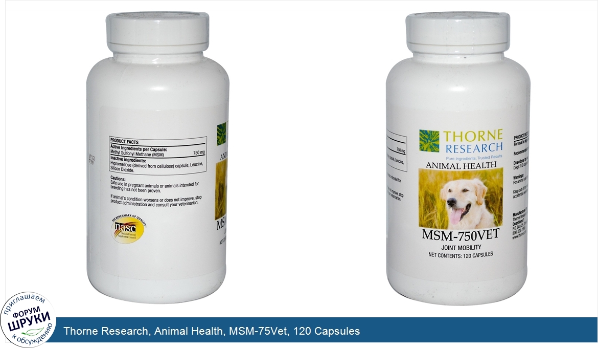 Thorne_Research__Animal_Health__MSM_75Vet__120_Capsules.jpg