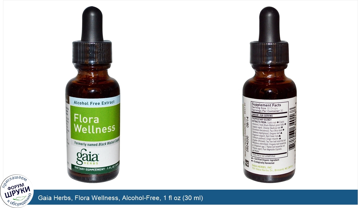 Gaia_Herbs__Flora_Wellness__Alcohol_Free__1_fl_oz__30_ml_.jpg