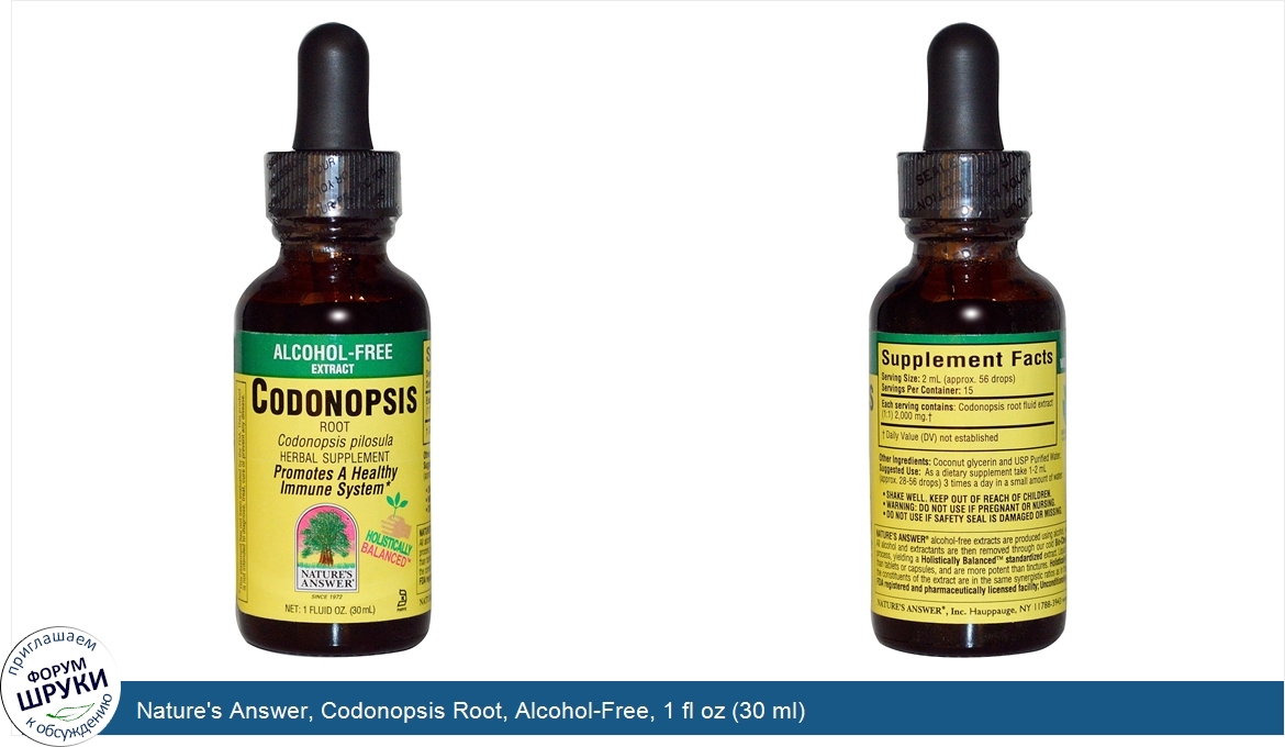 Nature_s_Answer__Codonopsis_Root__Alcohol_Free__1_fl_oz__30_ml_.jpg