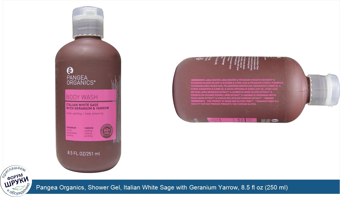 Pangea_Organics__Shower_Gel__Italian_White_Sage_with_Geranium_Yarrow__8.5_fl_oz__250_ml_.jpg