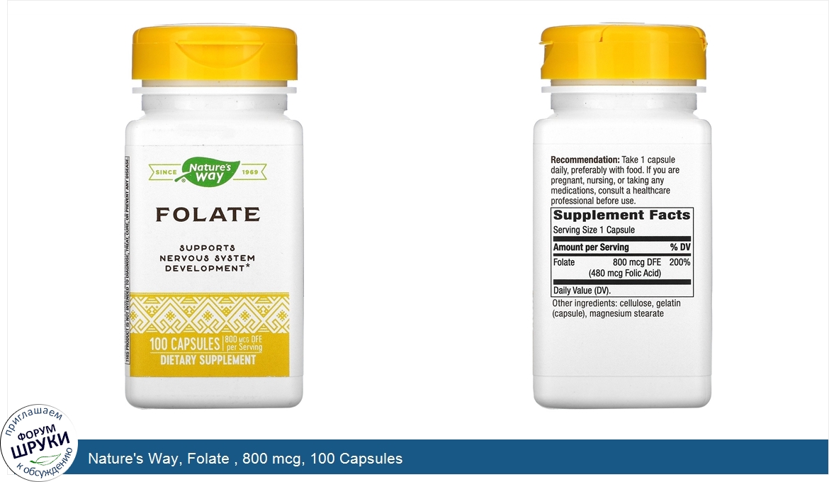 Nature_s_Way__Folate___800_mcg__100_Capsules.jpg