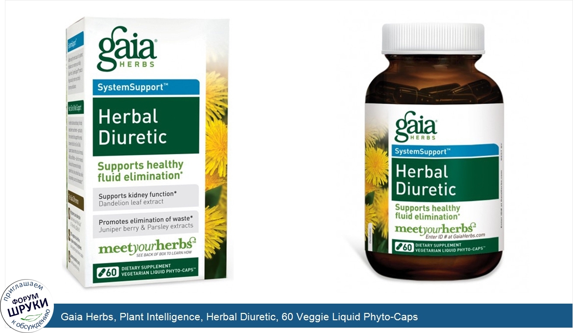 Gaia_Herbs__Plant_Intelligence__Herbal_Diuretic__60_Veggie_Liquid_Phyto_Caps.jpg