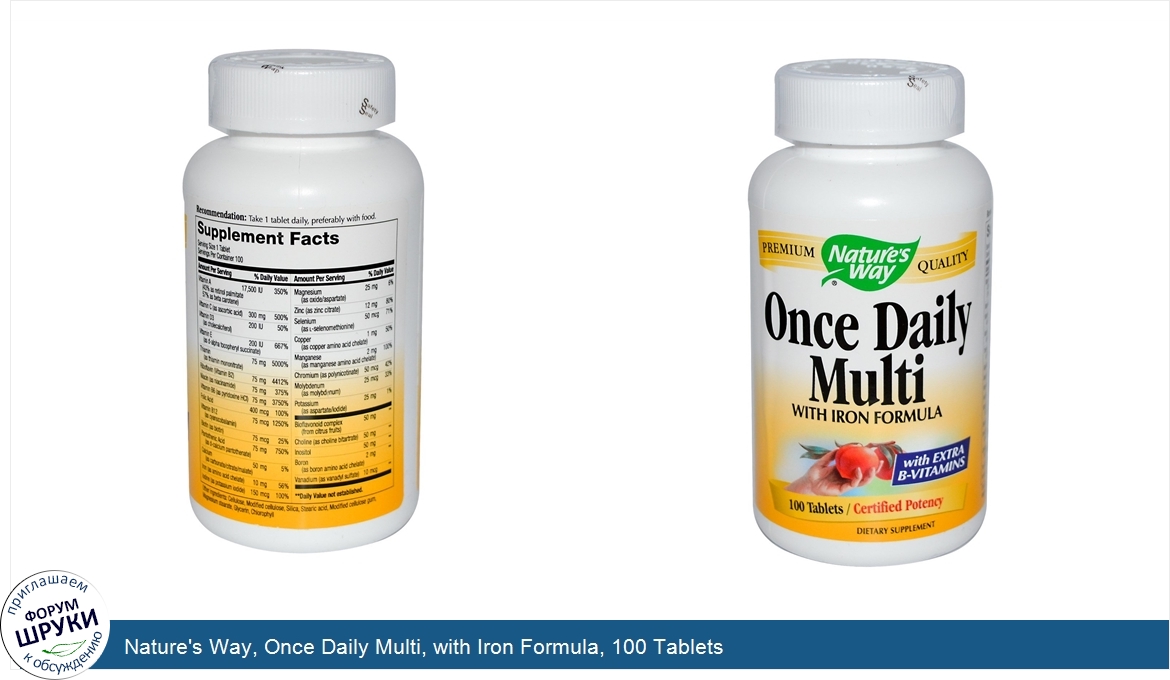 Nature_s_Way__Once_Daily_Multi__with_Iron_Formula__100_Tablets.jpg