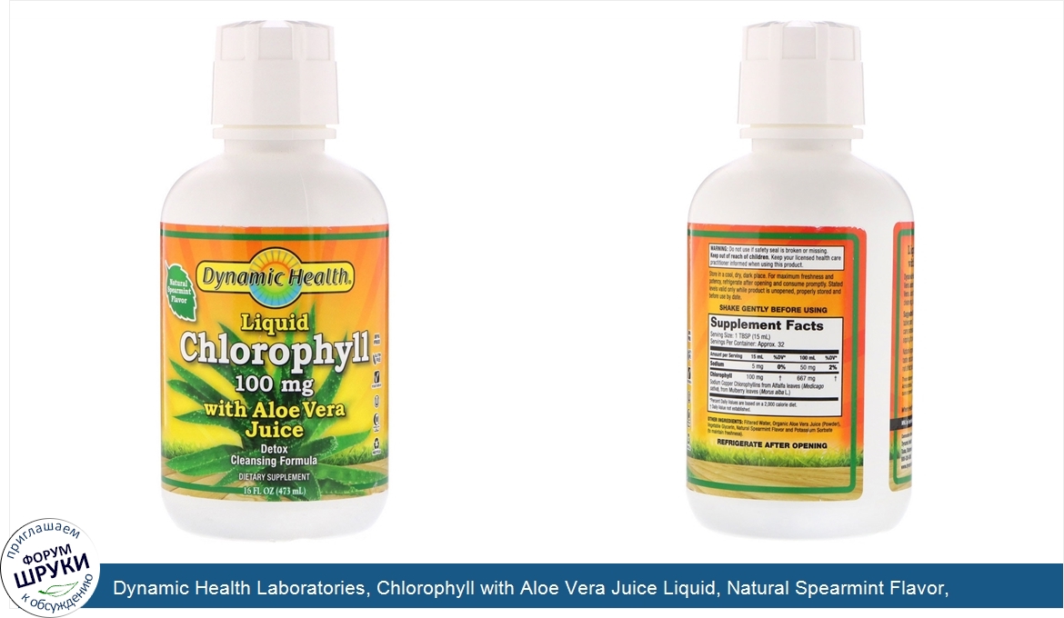 Dynamic_Health_Laboratories__Chlorophyll_with_Aloe_Vera_Juice_Liquid__Natural_Spearmint_Flavor...jpg