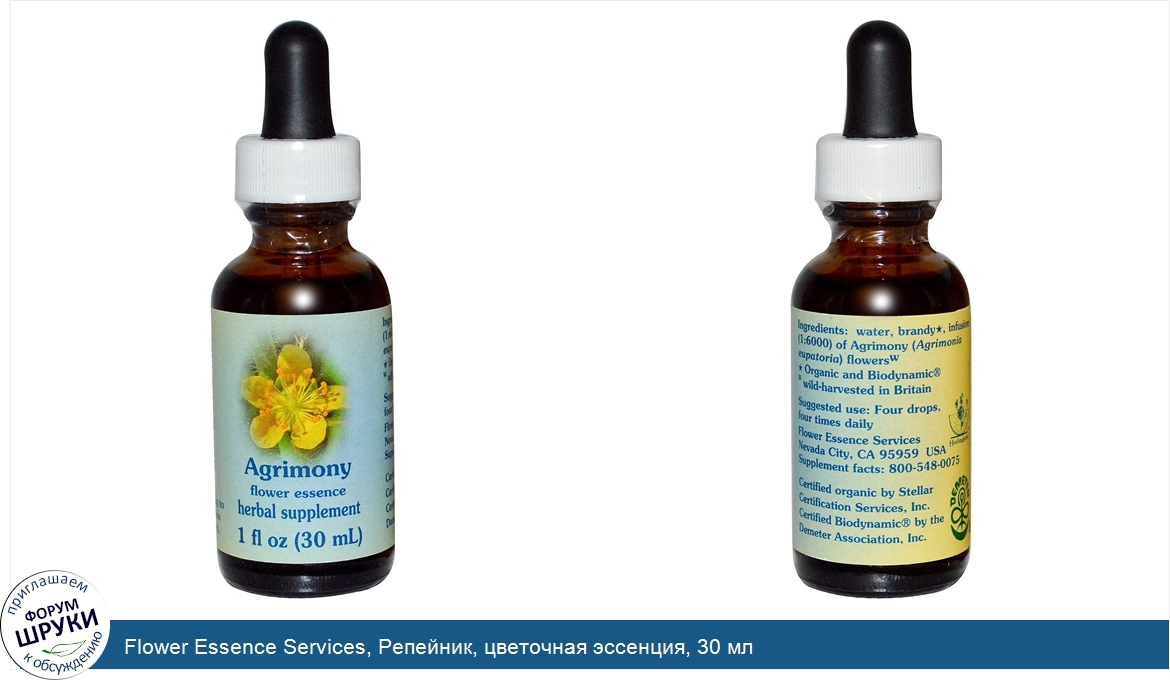 Flower_Essence_Services__Репейник__цветочная_эссенция__30_мл.jpg