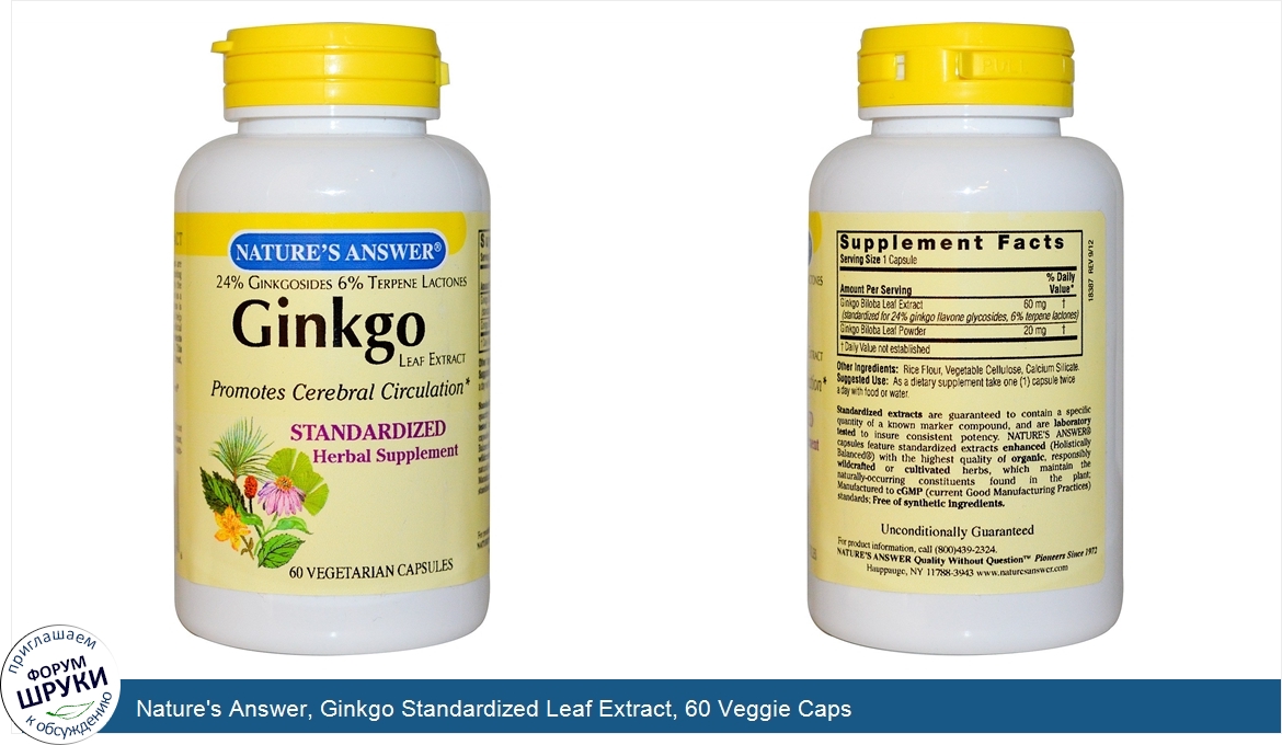 Nature_s_Answer__Ginkgo_Standardized_Leaf_Extract__60_Veggie_Caps.jpg