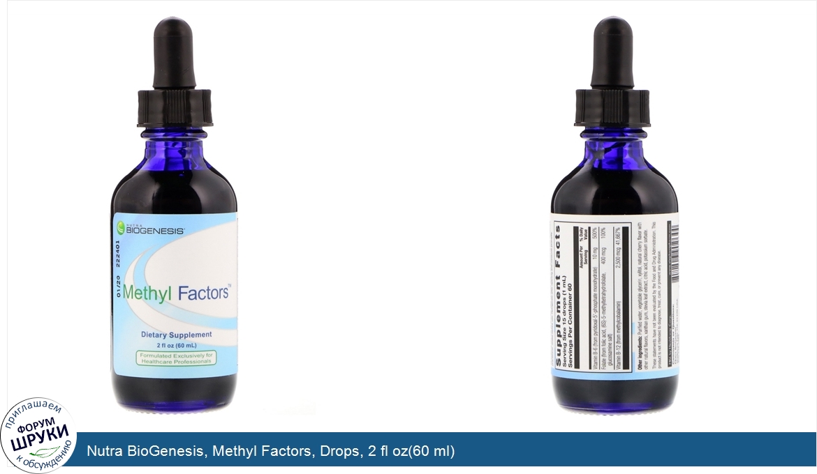 Nutra_BioGenesis__Methyl_Factors__Drops__2_fl_oz_60_ml_.jpg