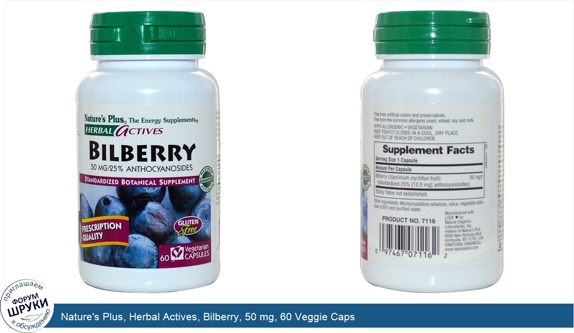 Nature_s_Plus__Herbal_Actives__Bilberry__50_mg__60_Veggie_Caps.jpg