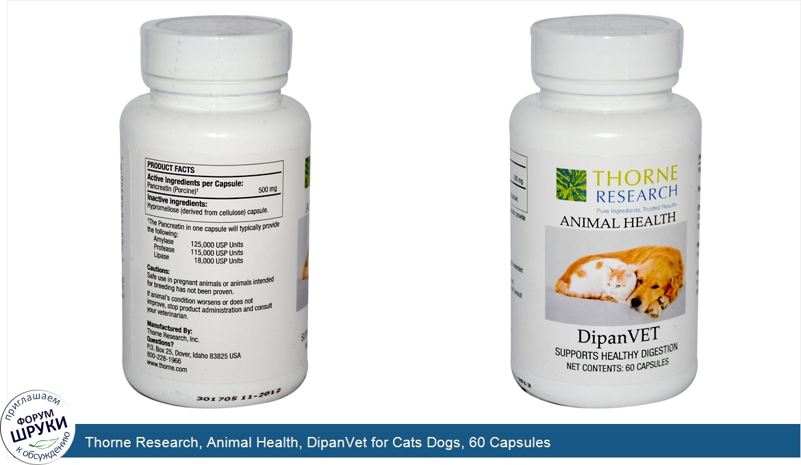 Thorne_Research__Animal_Health__DipanVet_for_Cats_Dogs__60_Capsules.jpg