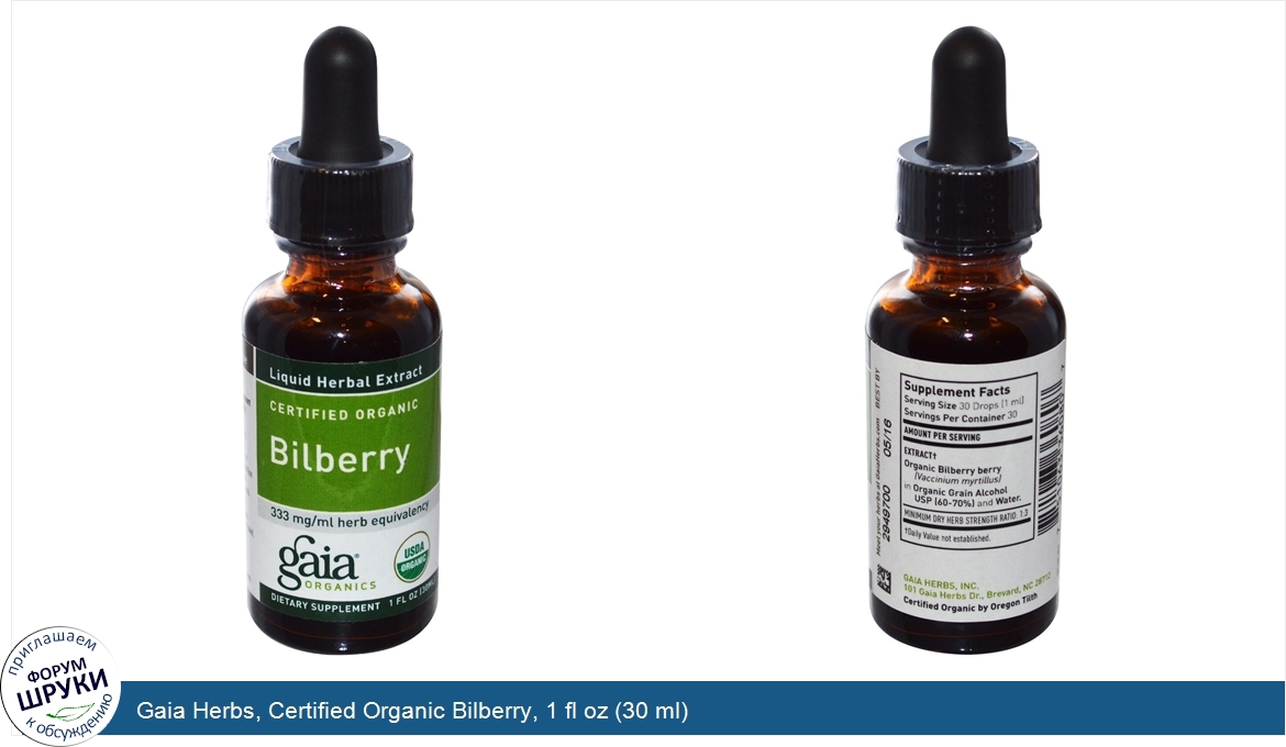 Gaia_Herbs__Certified_Organic_Bilberry__1_fl_oz__30_ml_.jpg