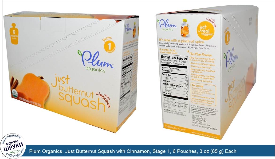 Plum_Organics__Just_Butternut_Squash_with_Cinnamon__Stage_1__6_Pouches__3_oz__85_g__Each.jpg