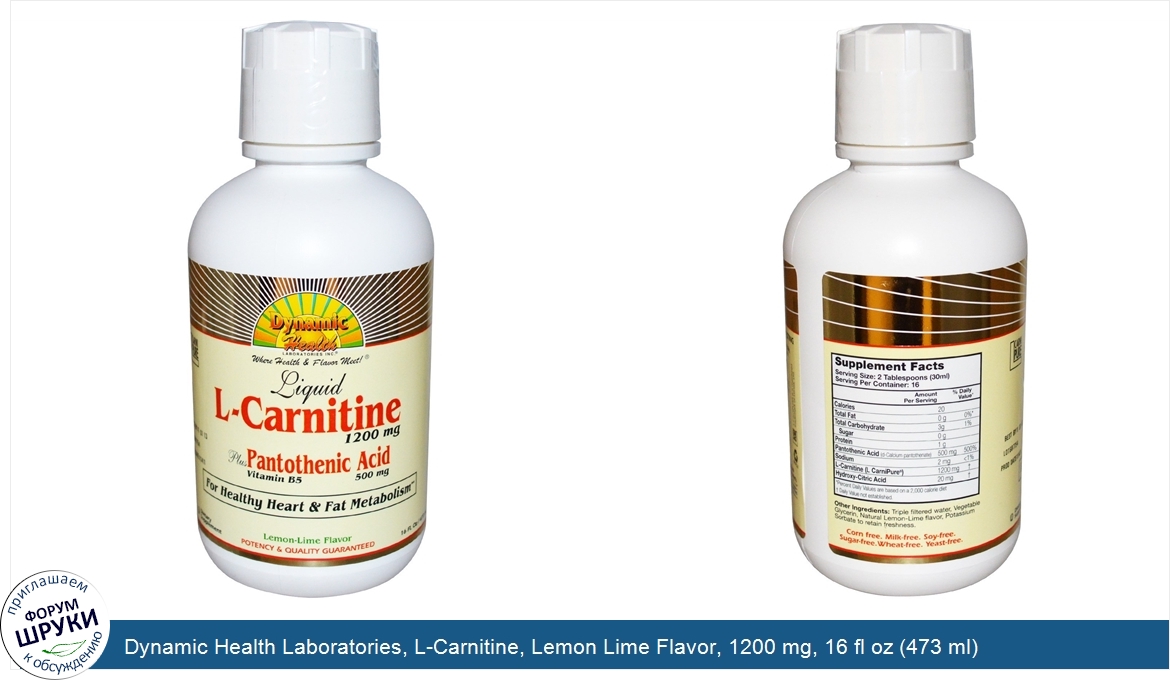 Dynamic_Health_Laboratories__L_Carnitine__Lemon_Lime_Flavor__1200_mg__16_fl_oz__473_ml_.jpg