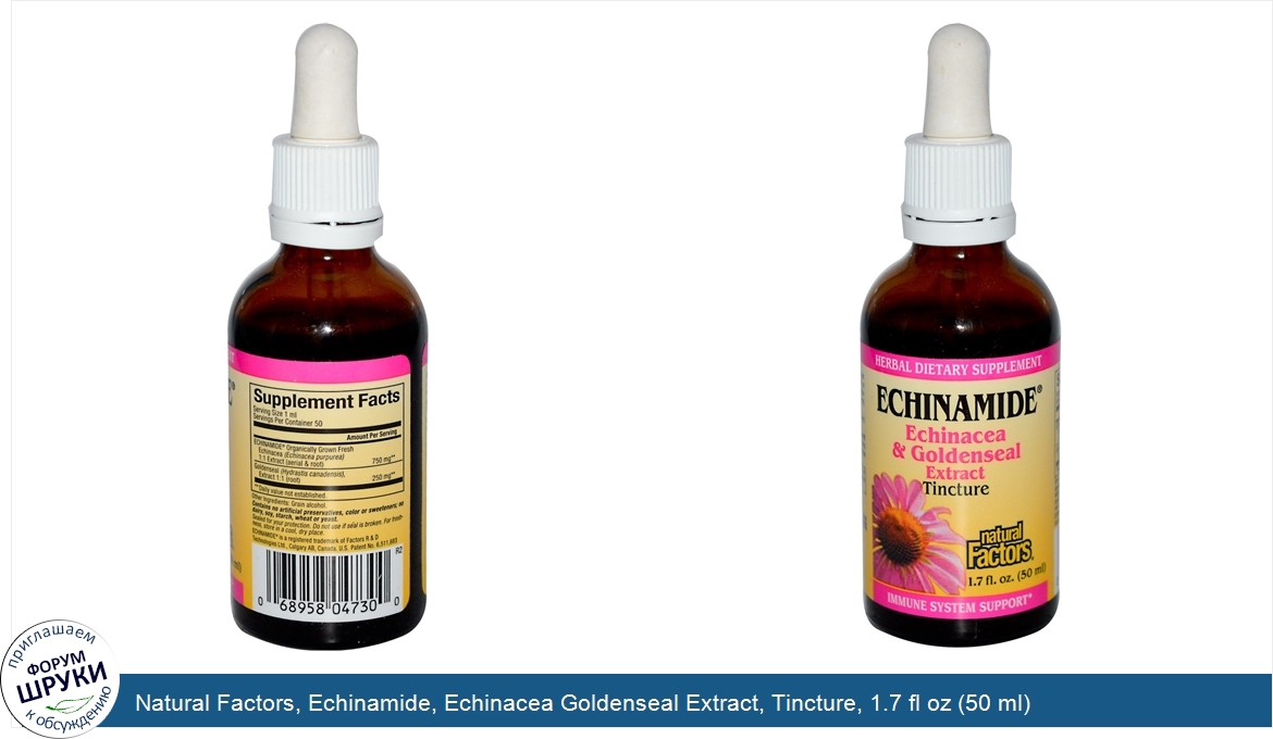 Natural_Factors__Echinamide__Echinacea_Goldenseal_Extract__Tincture__1.7_fl_oz__50_ml_.jpg