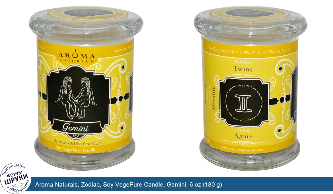 Aroma_Naturals__Zodiac__Soy_VegePure_Candle__Gemini__6_oz__180_g_.jpg