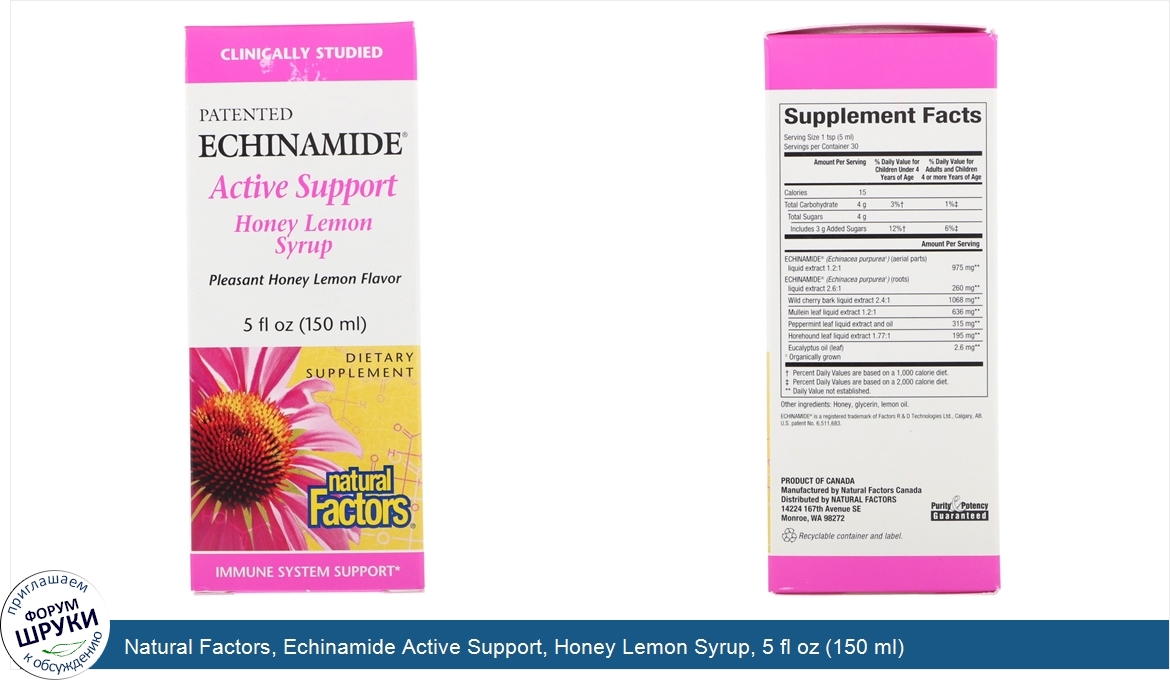 Natural_Factors__Echinamide_Active_Support__Honey_Lemon_Syrup__5_fl_oz__150_ml_.jpg