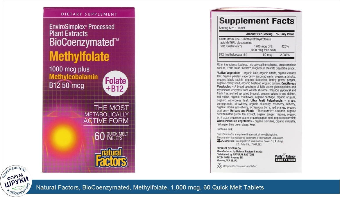 Natural_Factors__BioCoenzymated__Methylfolate__1_000_mcg__60_Quick_Melt_Tablets.jpg