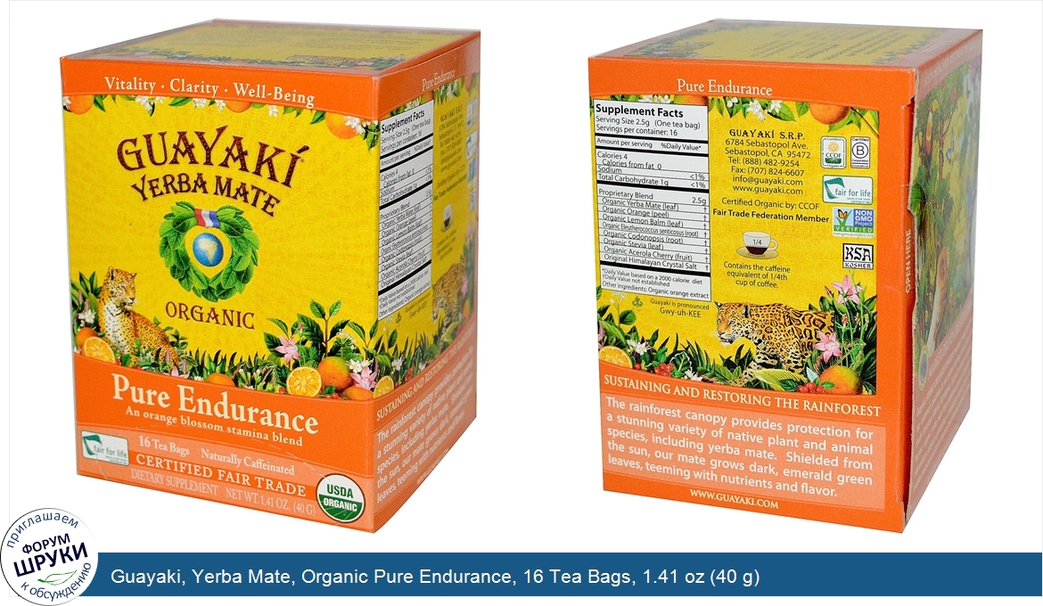 Guayaki__Yerba_Mate__Organic_Pure_Endurance__16_Tea_Bags__1.41_oz__40_g_.jpg