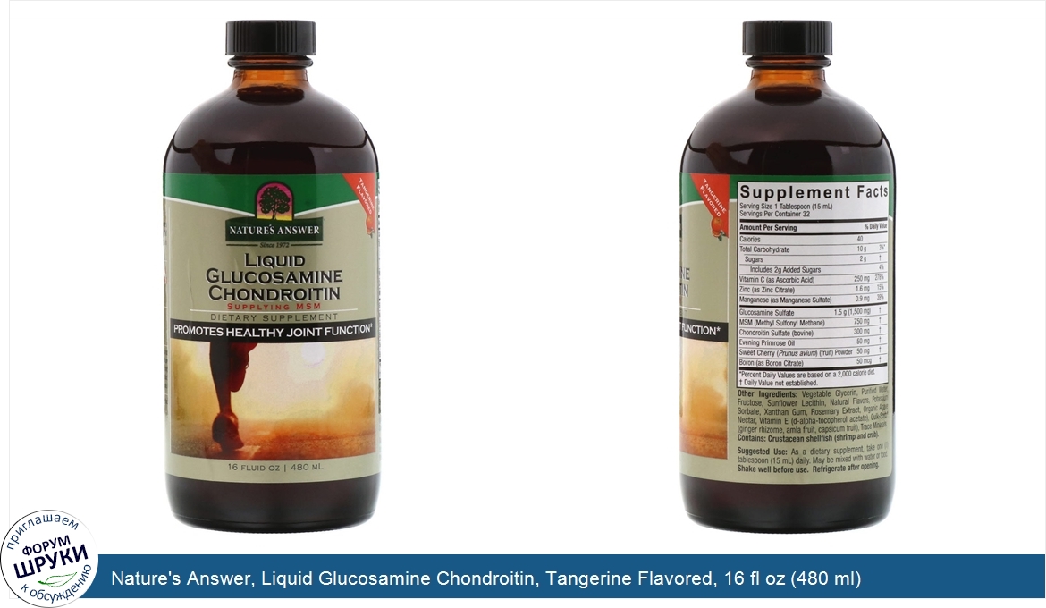 Nature_s_Answer__Liquid_Glucosamine_Chondroitin__Tangerine_Flavored__16_fl_oz__480_ml_.jpg