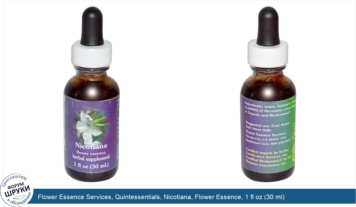 Flower_Essence_Services__Quintessentials__Nicotiana__Flower_Essence__1_fl_oz__30_ml_.jpg