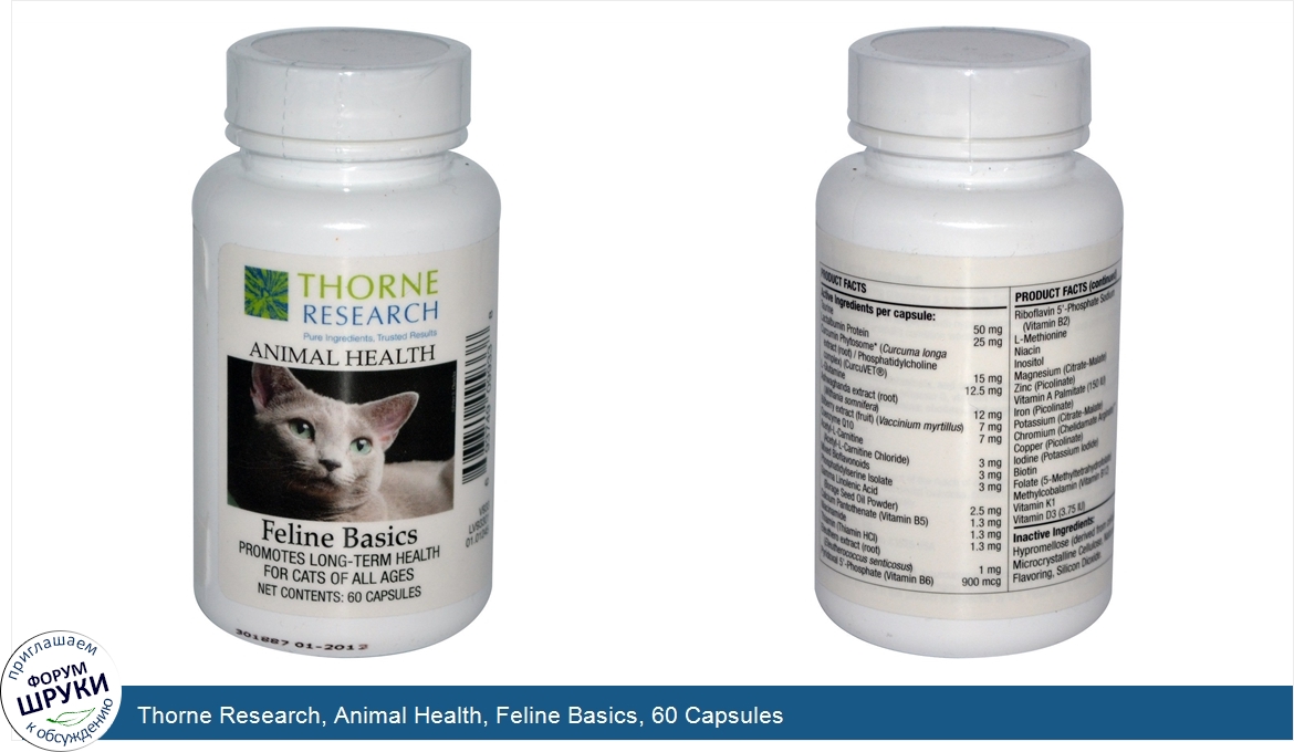 Thorne_Research__Animal_Health__Feline_Basics__60_Capsules.jpg