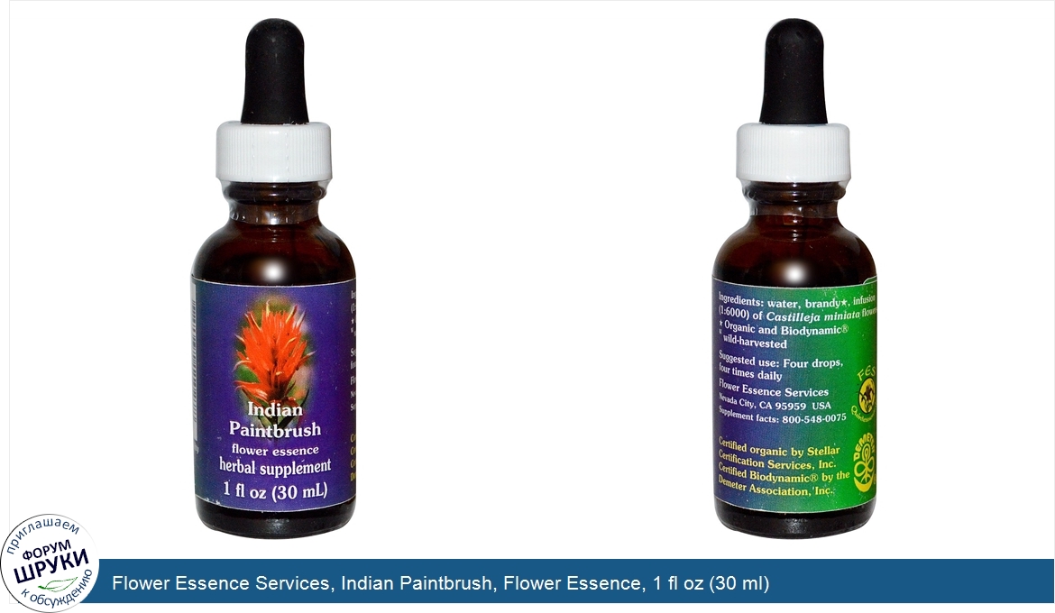 Flower_Essence_Services__Indian_Paintbrush__Flower_Essence__1_fl_oz__30_ml_.jpg