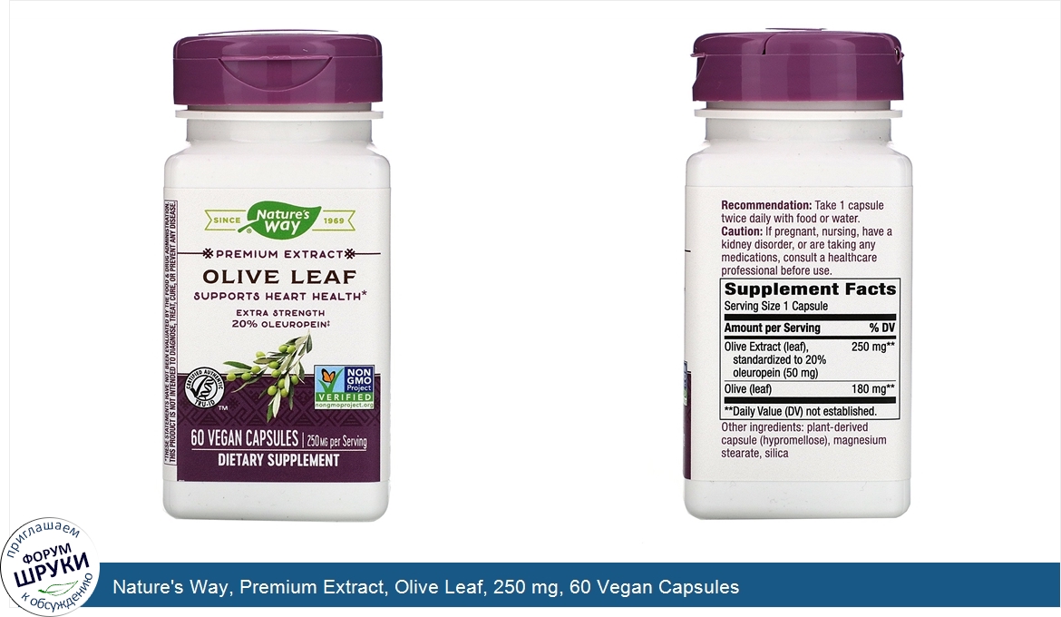 Nature_s_Way__Premium_Extract__Olive_Leaf__250_mg__60_Vegan_Capsules.jpg