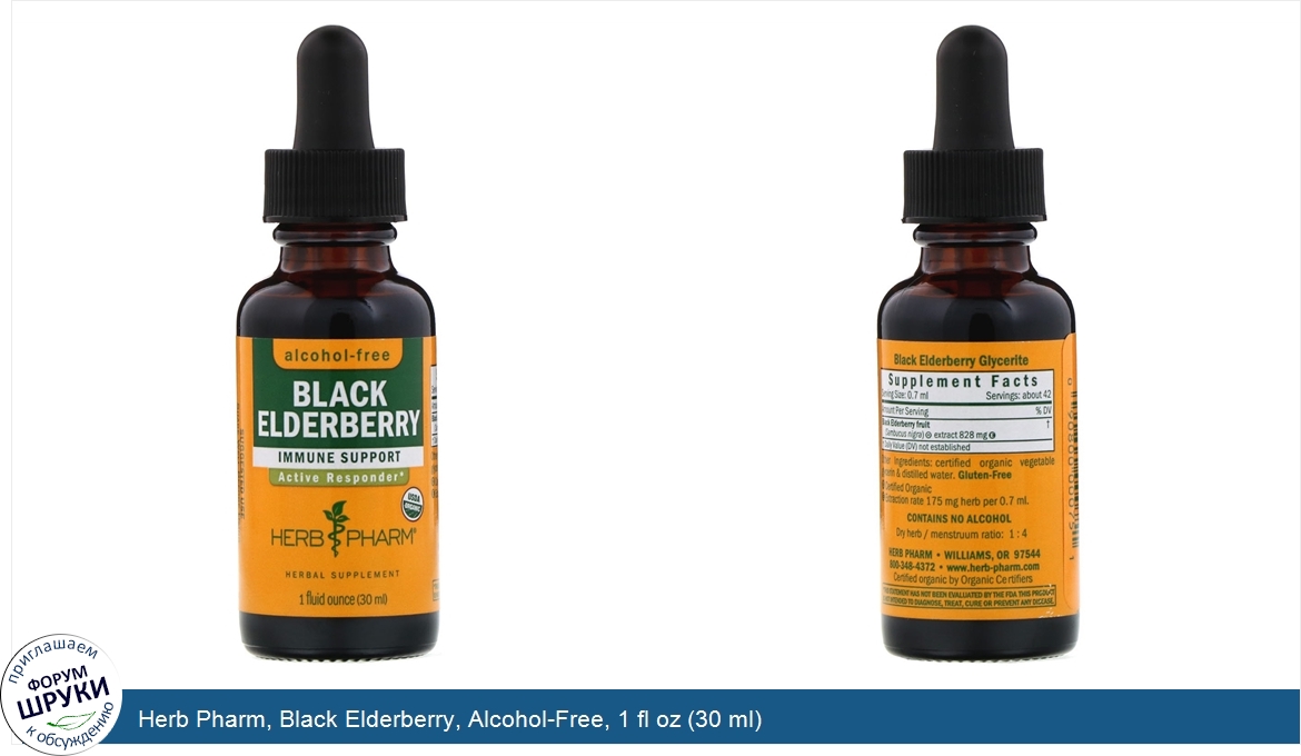 Herb_Pharm__Black_Elderberry__Alcohol_Free__1_fl_oz__30_ml_.jpg