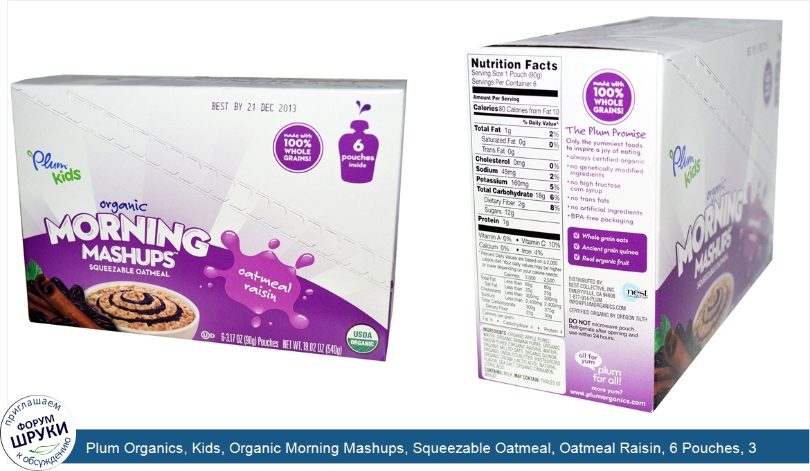 Plum_Organics__Kids__Organic_Morning_Mashups__Squeezable_Oatmeal__Oatmeal_Raisin__6_Pouches__3...jpg