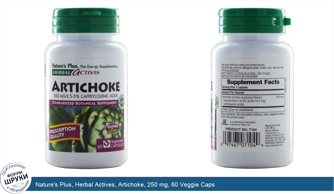 Nature_s_Plus__Herbal_Actives__Artichoke__250_mg__60_Veggie_Caps.jpg