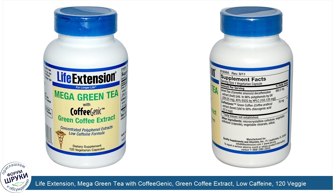 Life_Extension__Mega_Green_Tea_with_CoffeeGenic__Green_Coffee_Extract__Low_Caffeine__120_Veggi...jpg