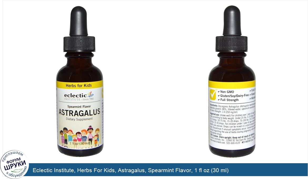 Eclectic_Institute__Herbs_For_Kids__Astragalus__Spearmint_Flavor__1_fl_oz__30_ml_.jpg