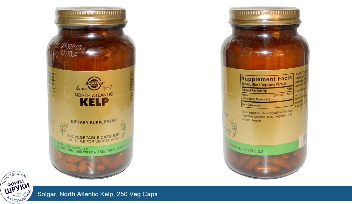 Solgar__North_Atlantic_Kelp__250_Veg_Caps.jpg