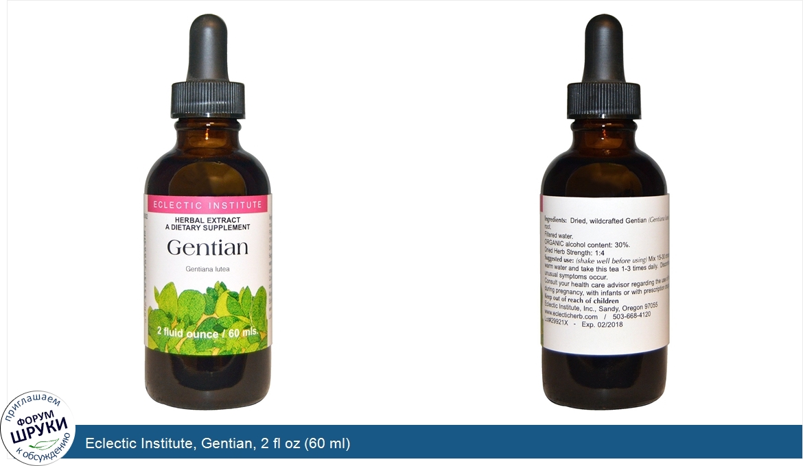 Eclectic_Institute__Gentian__2_fl_oz__60_ml_.jpg