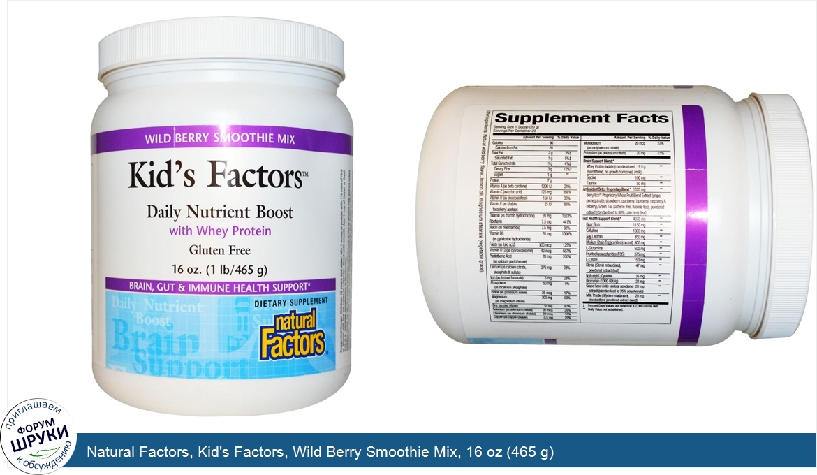 Natural_Factors__Kid_s_Factors__Wild_Berry_Smoothie_Mix__16_oz__465_g_.jpg