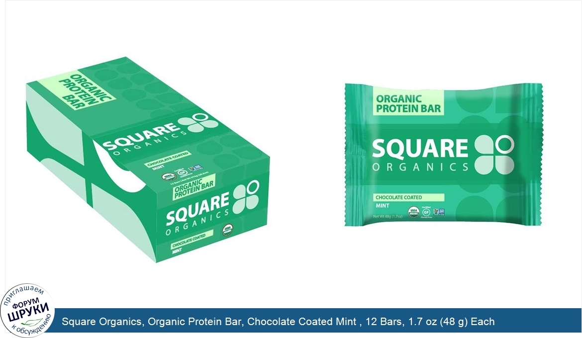 Square_Organics__Organic_Protein_Bar__Chocolate_Coated_Mint___12_Bars__1.7_oz__48_g__Each.jpg