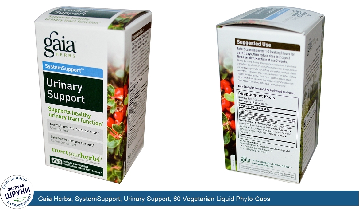 Gaia_Herbs__SystemSupport__Urinary_Support__60_Vegetarian_Liquid_Phyto_Caps.jpg