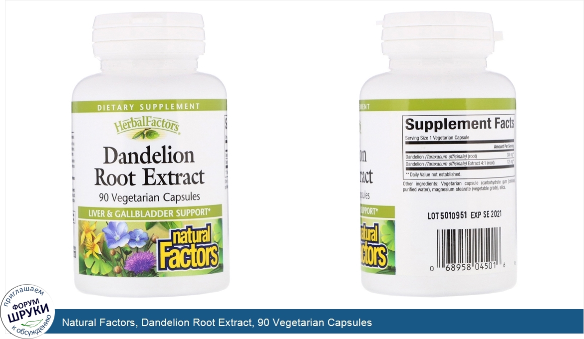 Natural_Factors__Dandelion_Root_Extract__90_Vegetarian_Capsules.jpg