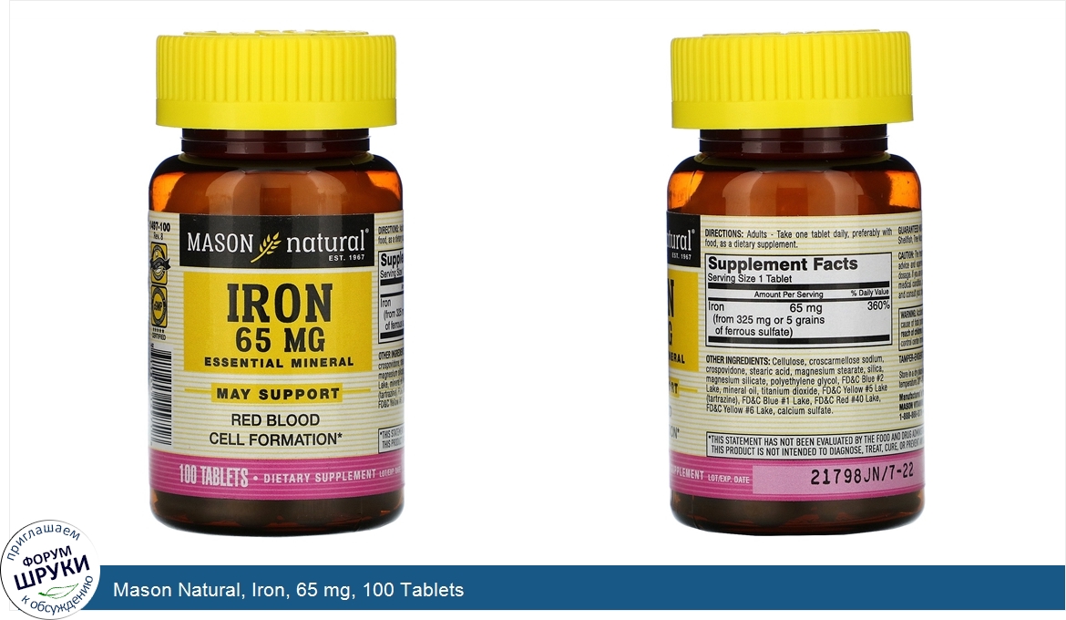 Mason_Natural__Iron__65_mg__100_Tablets.jpg