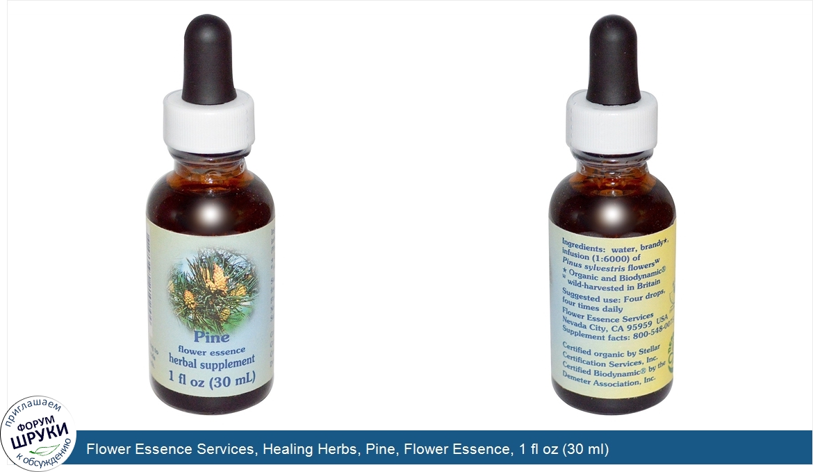 Flower_Essence_Services__Healing_Herbs__Pine__Flower_Essence__1_fl_oz__30_ml_.jpg